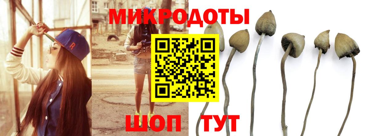 Псилоцибиновые грибы GOLDEN TEACHER Сызрань